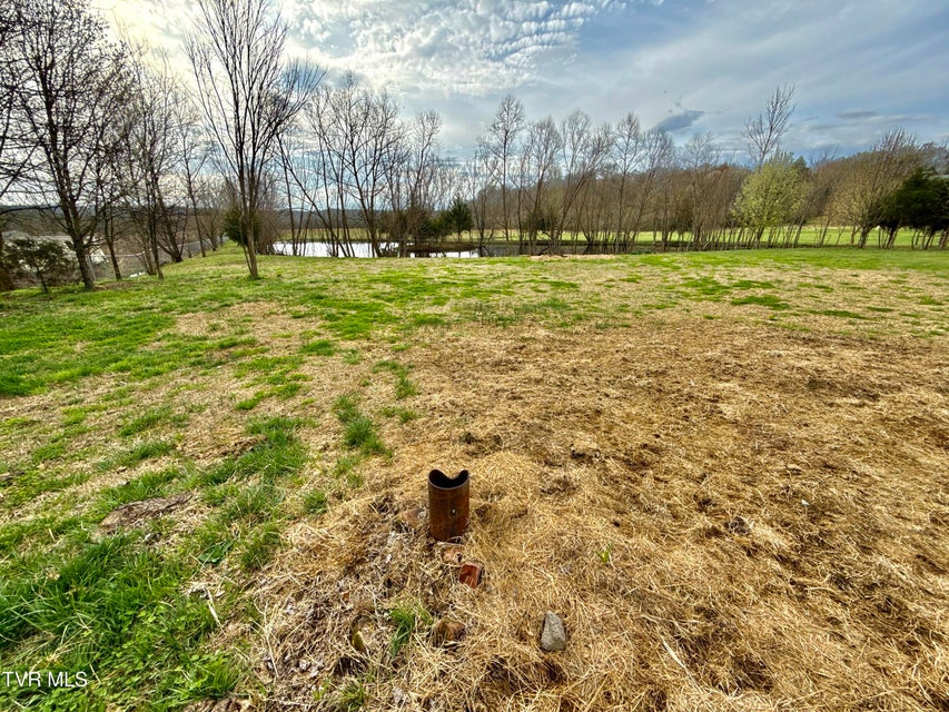 Photo #31: 830 Toby Road