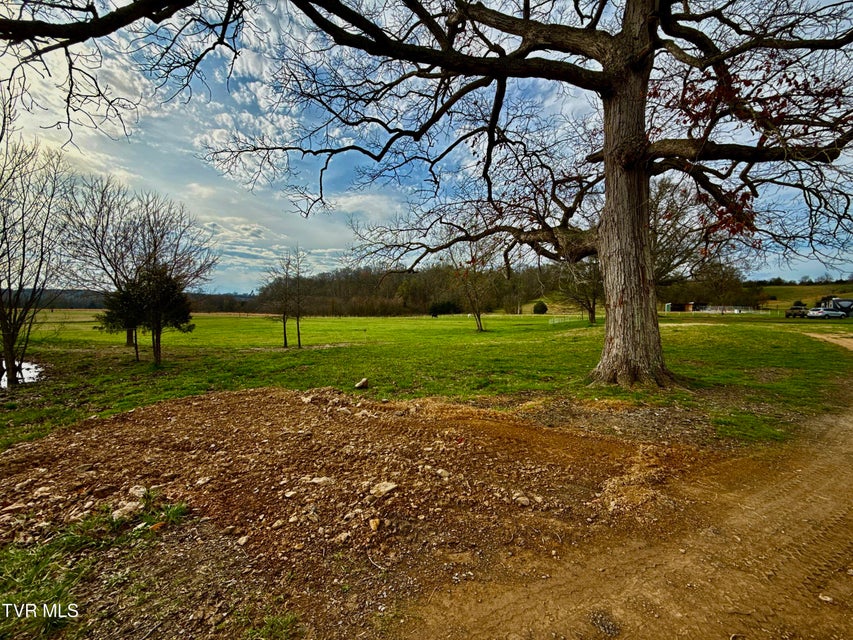 Photo #32: 830 Toby Road