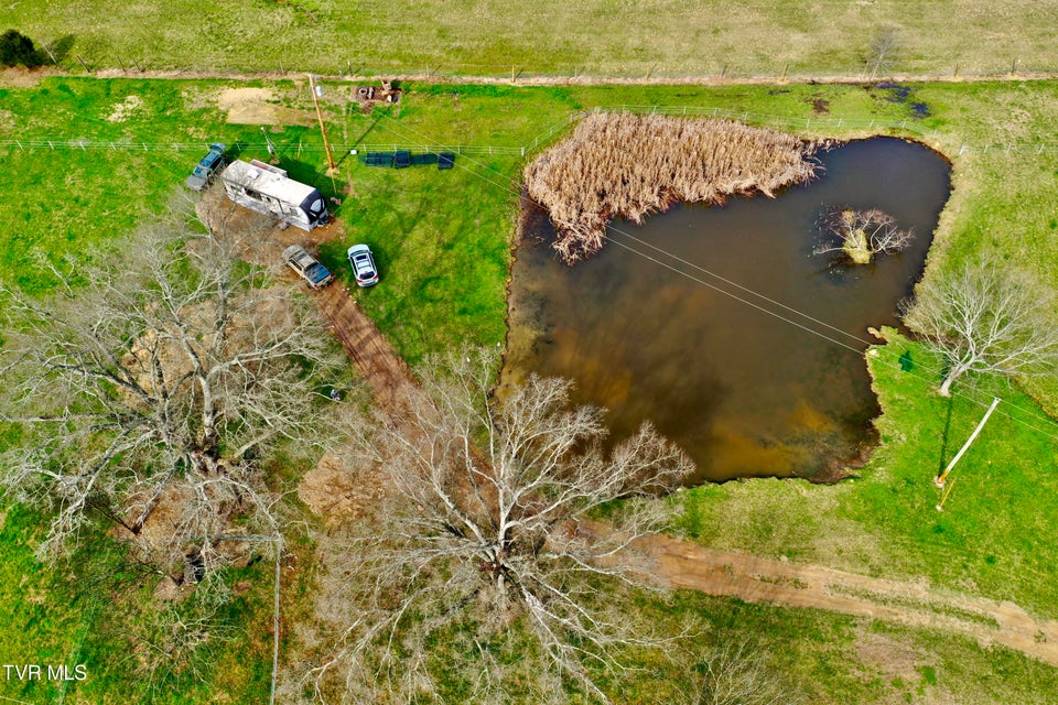 Photo #44: 830 Toby Road