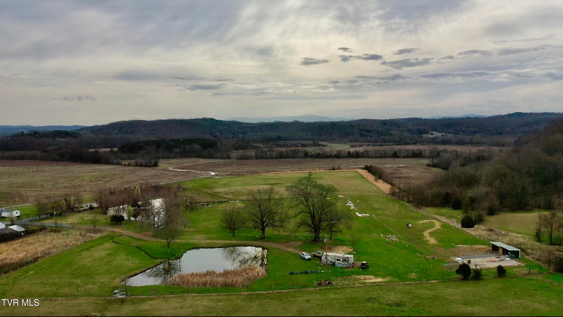 Photo #45: 830 Toby Road