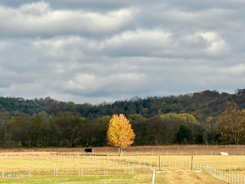 Photo #60: 830 Toby Road
