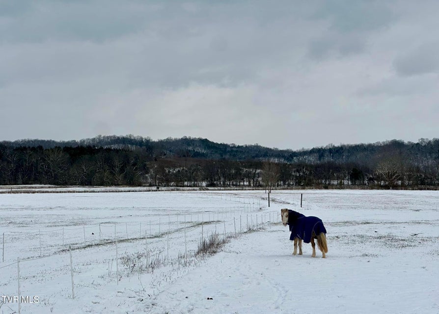 Photo #63: 830 Toby Road