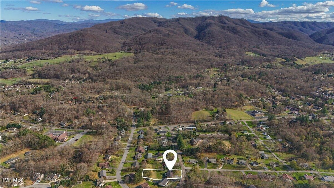 Photo #55: 1605 Southwest Avenue