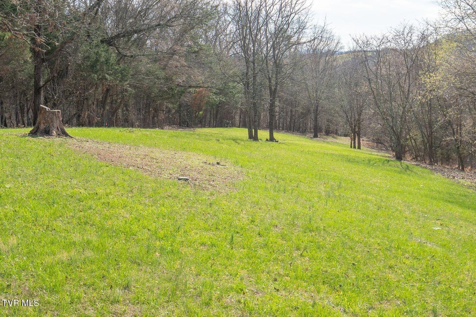 Photo #56: 449 Chuckey Overlook 