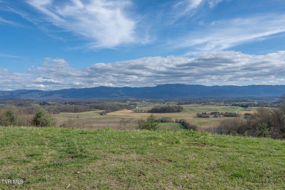 Photo #58: 449 Chuckey Overlook 