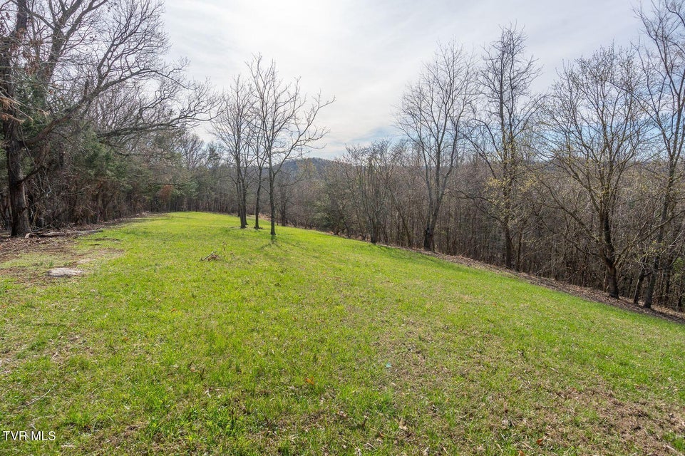 Photo #60: 449 Chuckey Overlook 