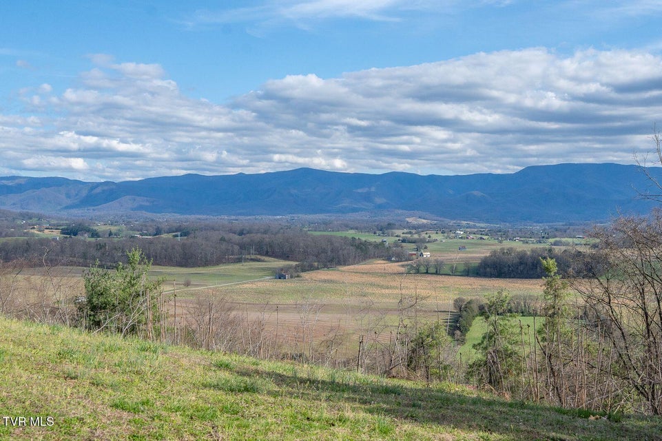Photo #68: 449 Chuckey Overlook 