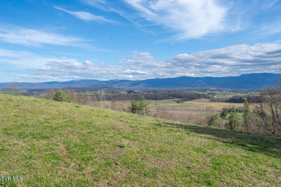 Photo #70: 449 Chuckey Overlook 
