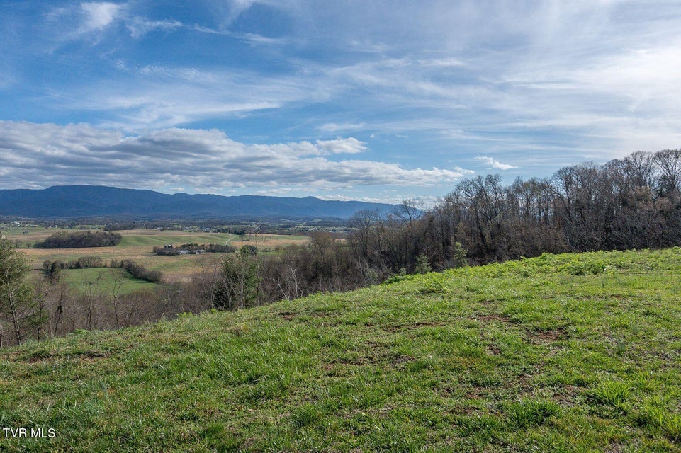 Photo #74: 449 Chuckey Overlook 