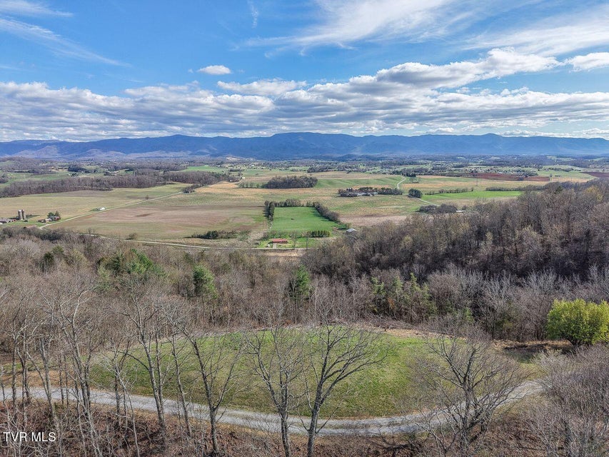 Photo #80: 449 Chuckey Overlook 