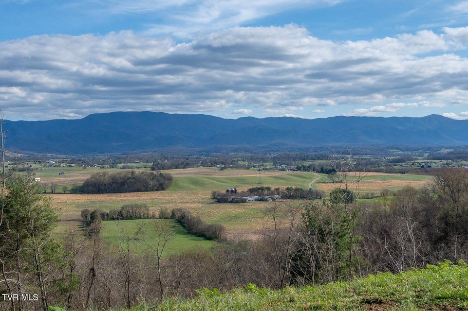 Photo #84: 449 Chuckey Overlook 