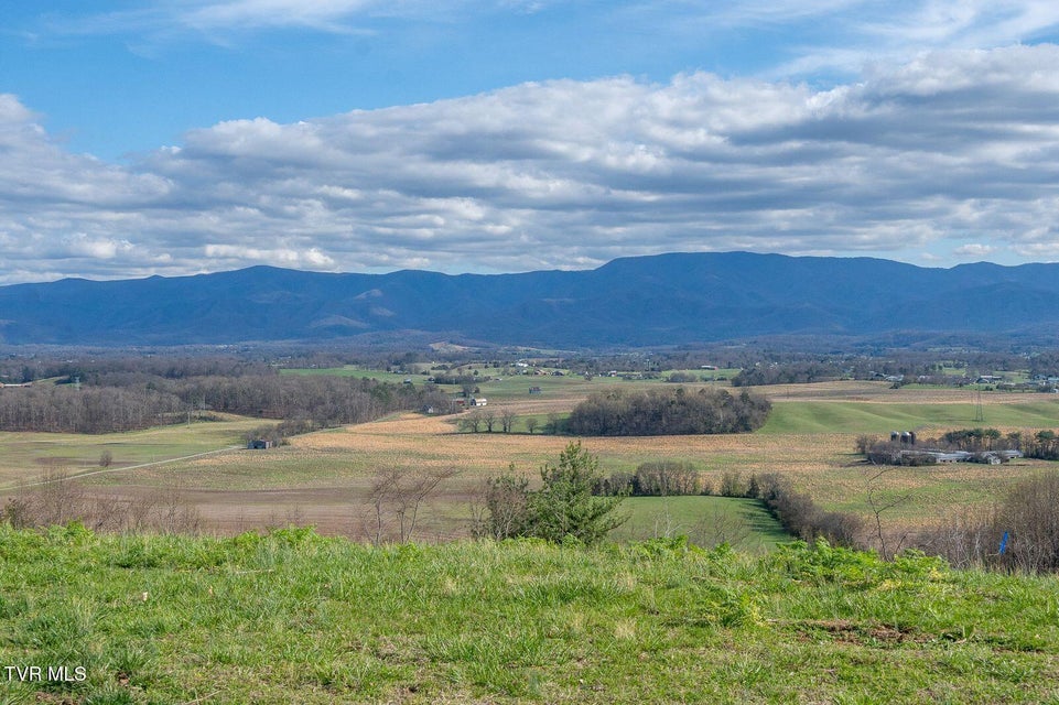 Photo #86: 449 Chuckey Overlook 