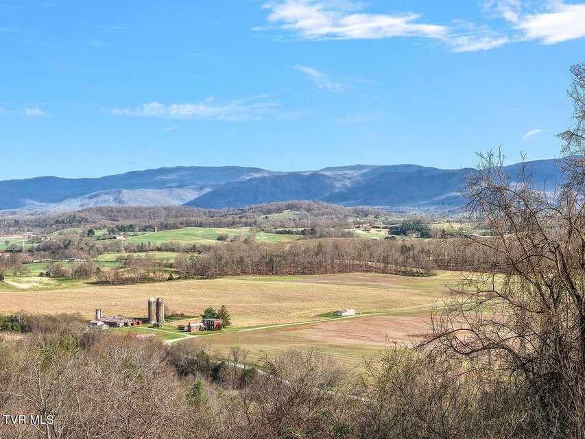 Photo #88: 449 Chuckey Overlook 