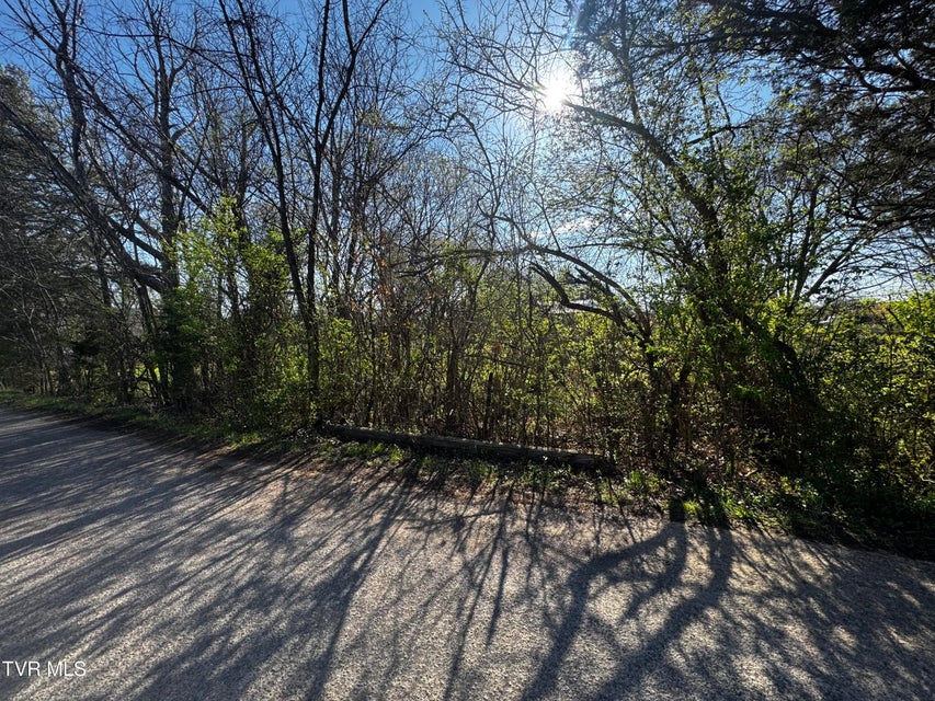 Photo #3: 0 Kirkham Road