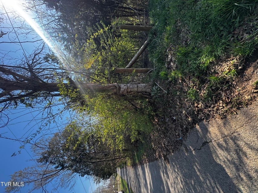 Photo #5: 0 Kirkham Road