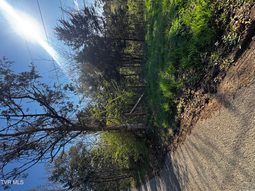 Photo #6: 0 Kirkham Road