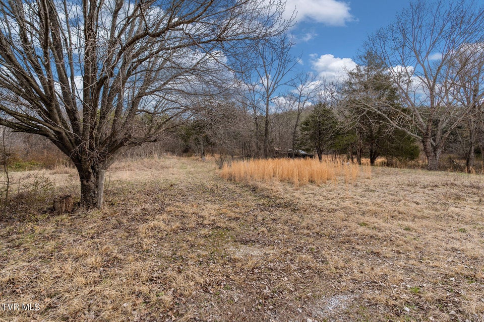 Photo #12: 8167 Asheville Highway