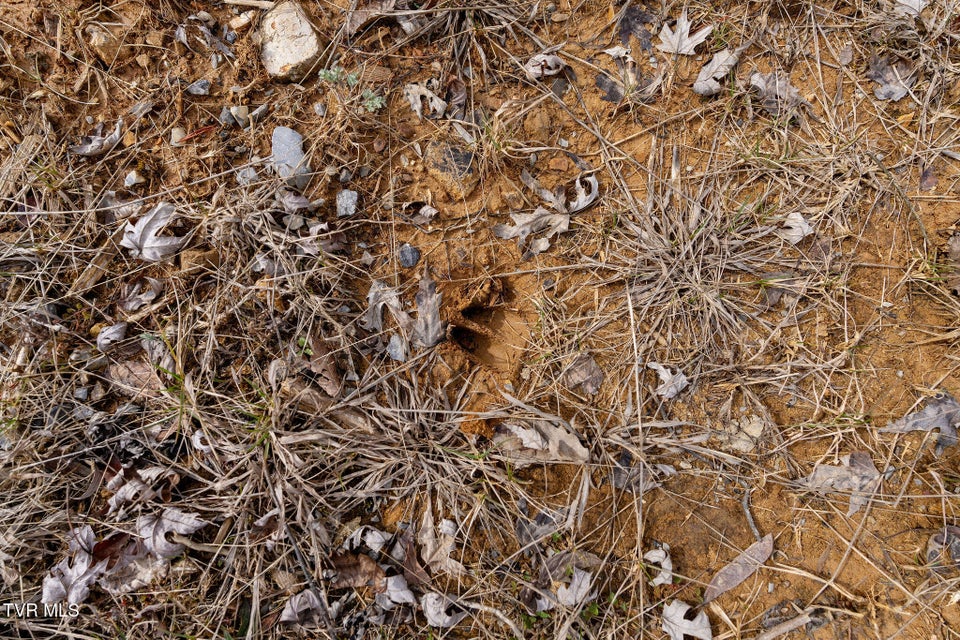 Photo #20: 8167 Asheville Highway