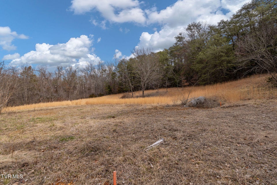 Photo #21: 8167 Asheville Highway