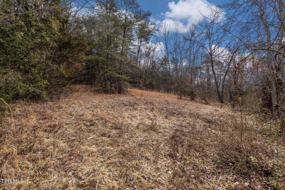 Photo #22: 8167 Asheville Highway