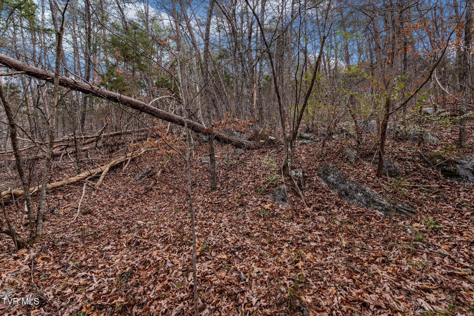 Photo #26: 8167 Asheville Highway