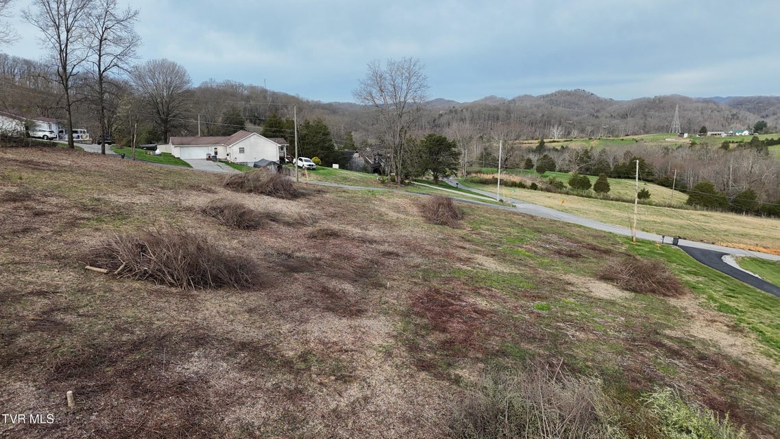 Photo #9: Tract 1 Parker Lane