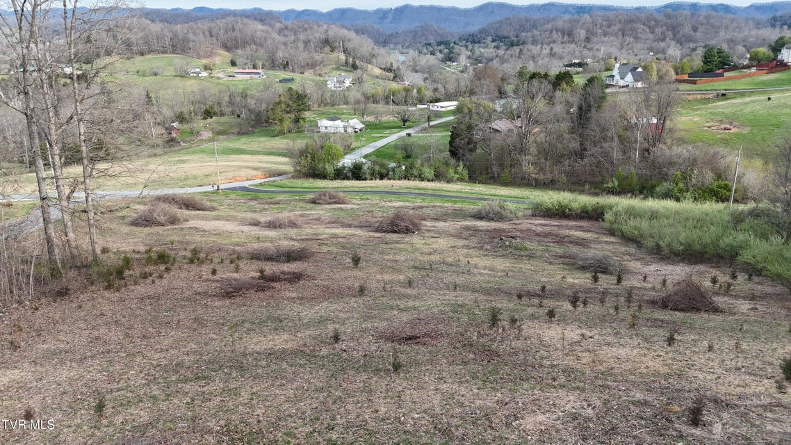 Photo #10: Tract 1 Parker Lane