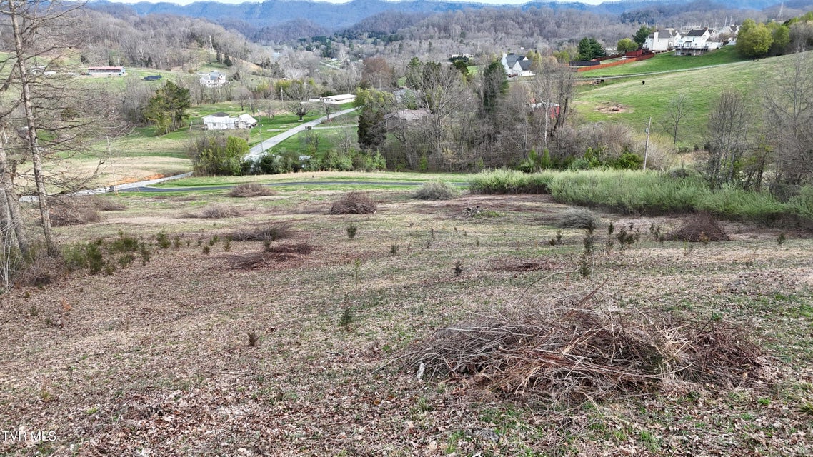 Photo #11: Tract 1 Parker Lane