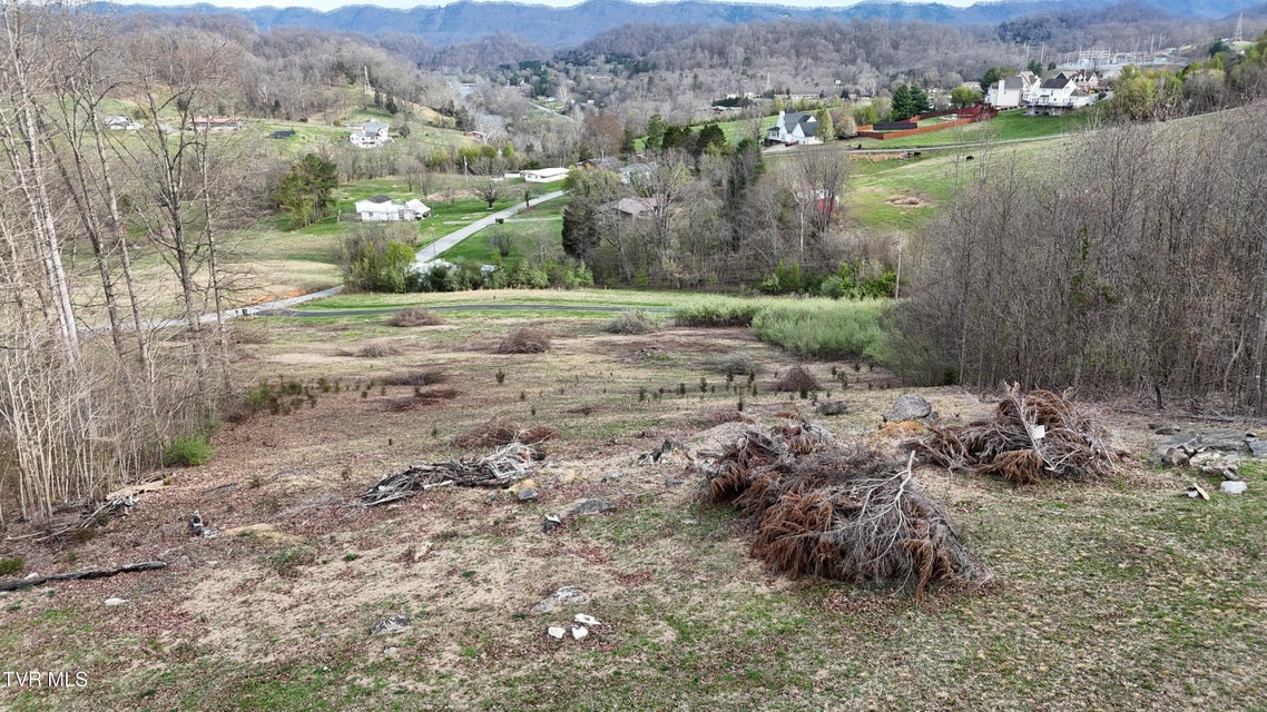 Photo #14: Tract 1 Parker Lane