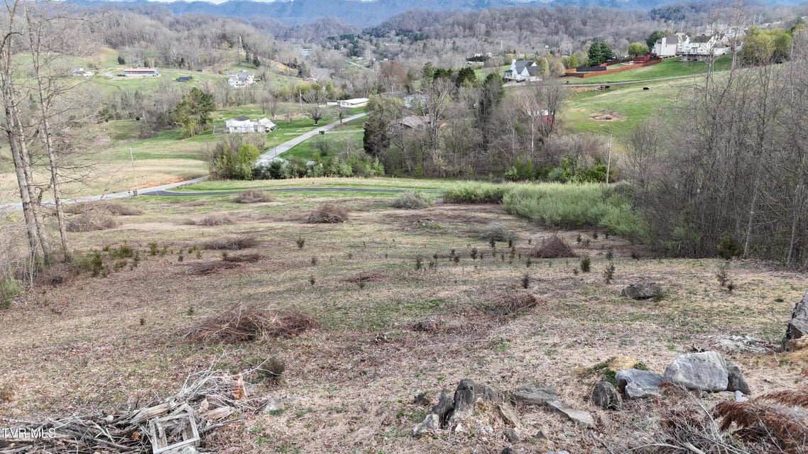 Photo #15: Tract 1 Parker Lane