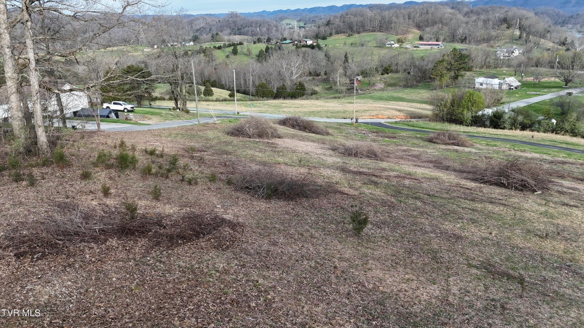 Photo #19: Tract 1 Parker Lane