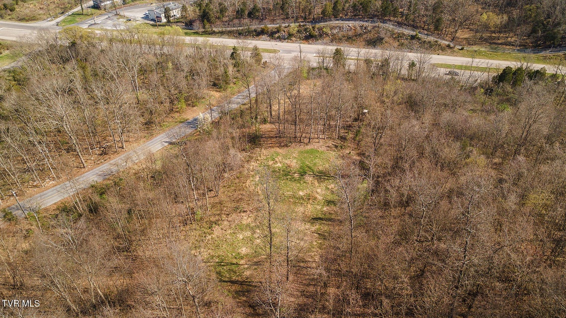 Photo #11: 1116 Moreland Drive