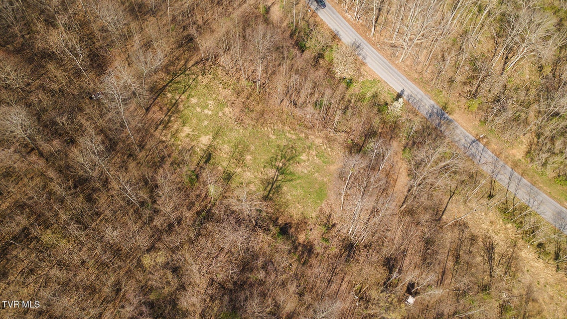 Photo #16: 1116 Moreland Drive