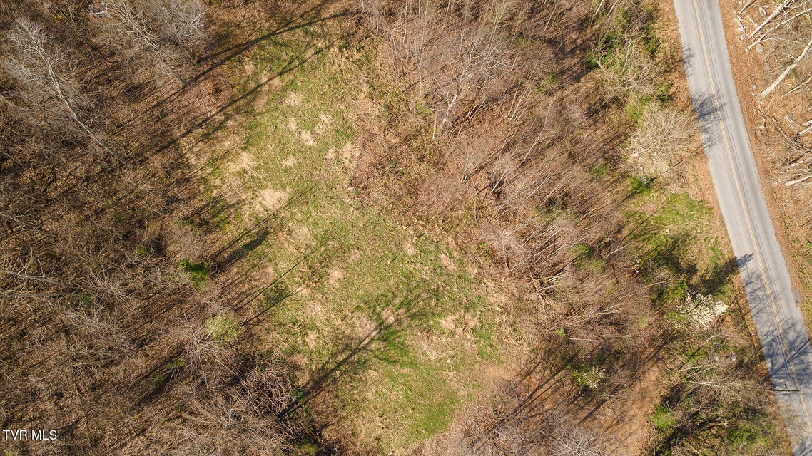 Photo #17: 1116 Moreland Drive