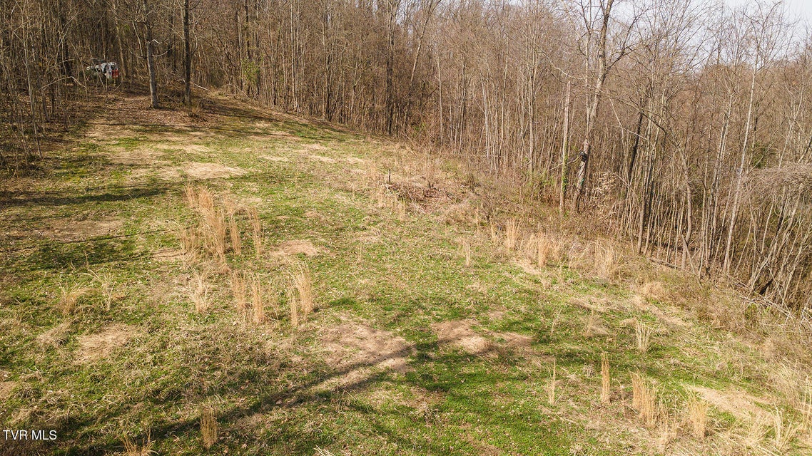 Photo #18: 1116 Moreland Drive