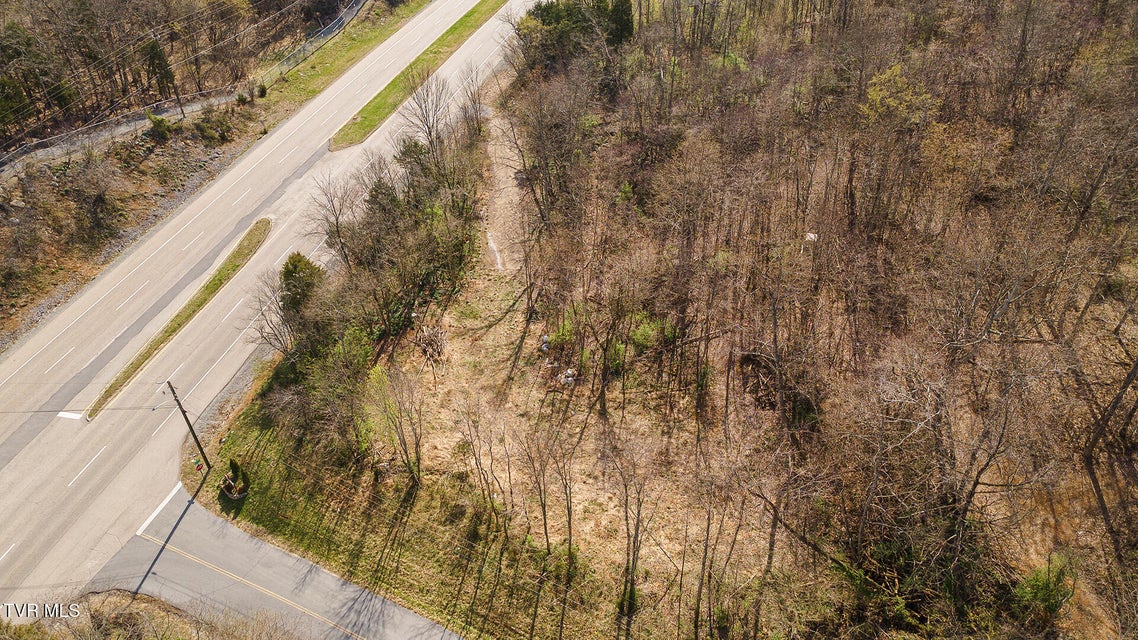 Photo #19: 1116 Moreland Drive