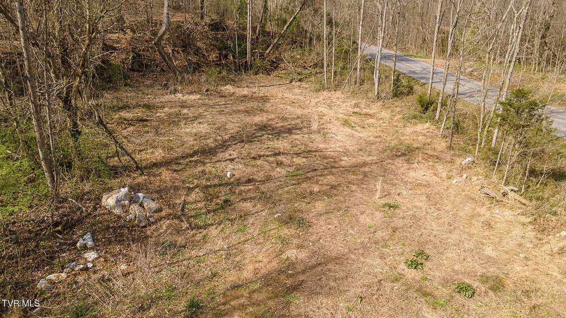 Photo #20: 1116 Moreland Drive