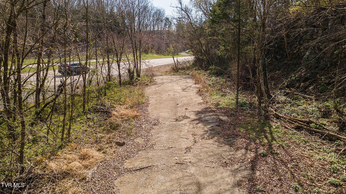 Photo #21: 1116 Moreland Drive