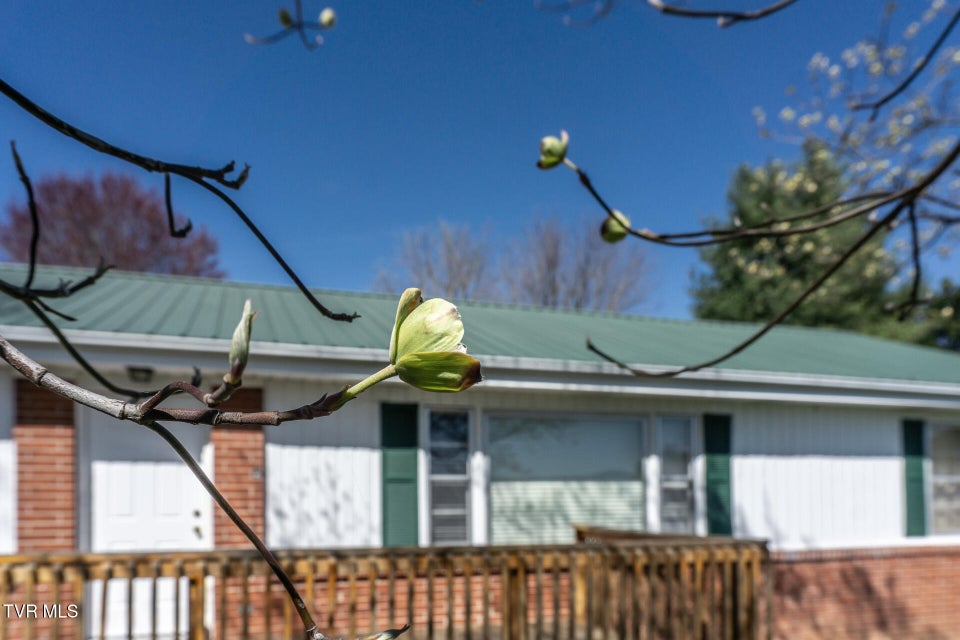 Photo #47: 404 Dyer Circle