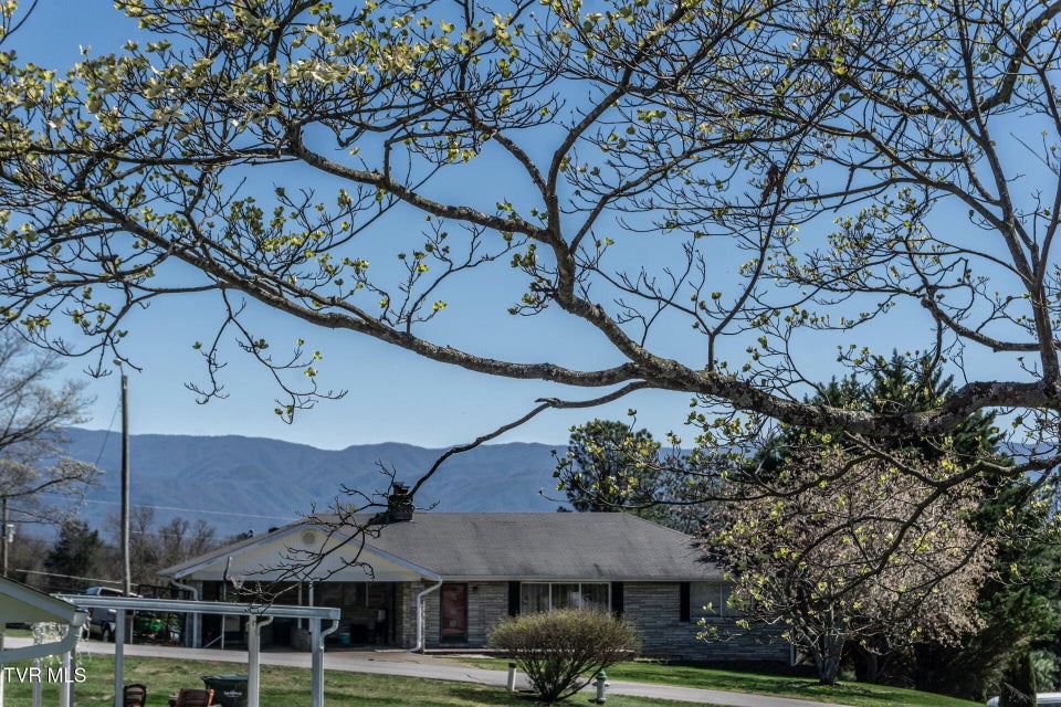 Photo #49: 404 Dyer Circle