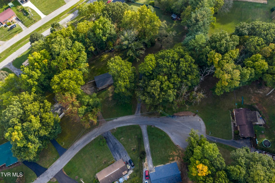 Photo #51: 317 Rosemary Lane