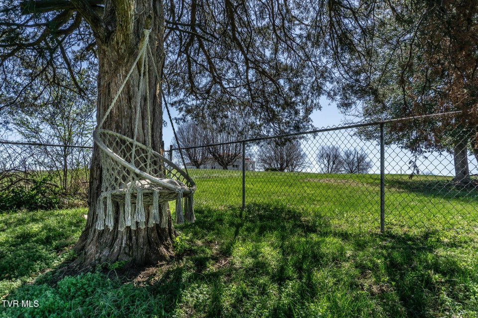 Photo #37: 331 Paul Street