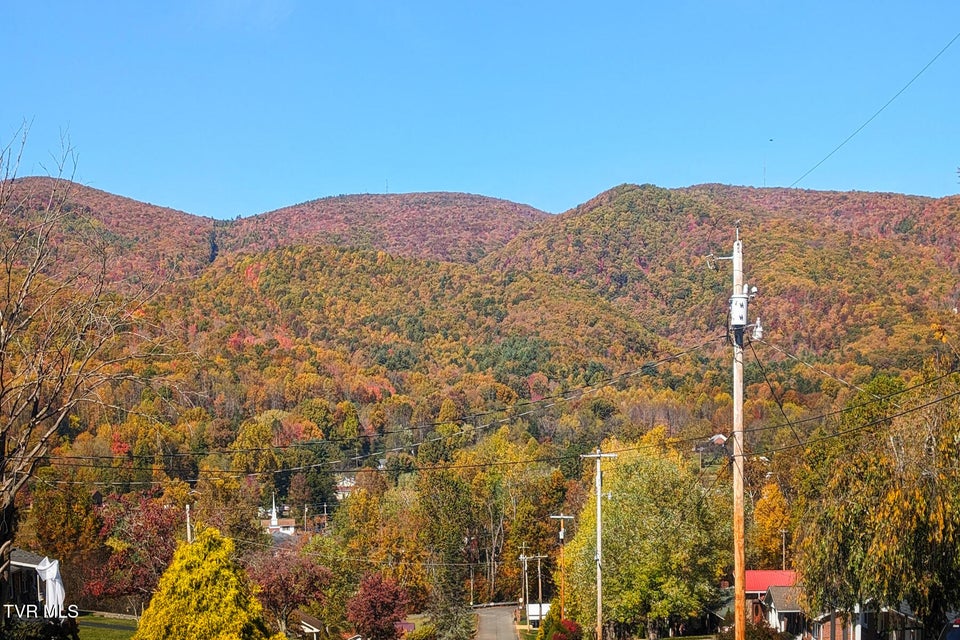 Photo #54: 148 Unaka Subdivision Road