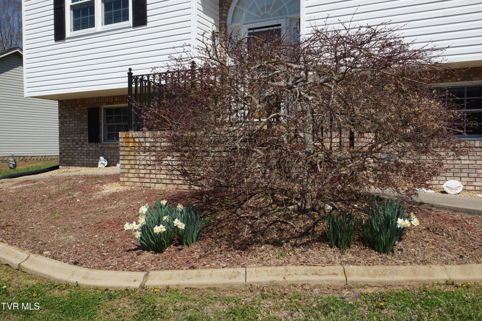 Photo #12: 128 Meadow Springs Lane