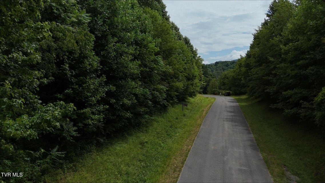 Photo #61: 125 Powder Hollow Road