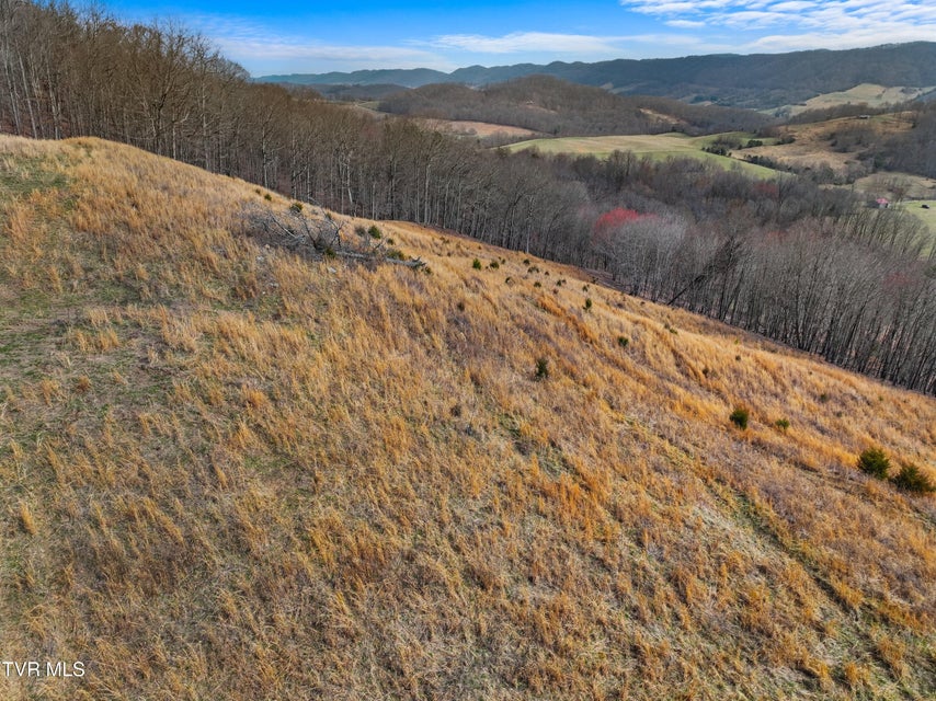 Photo #35: 2218 Rebel Hollow Road