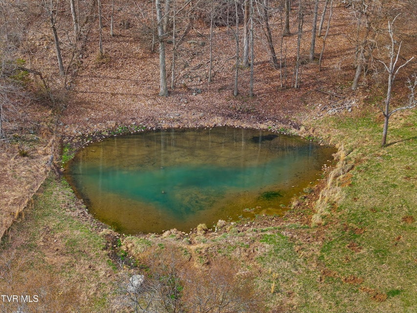 Photo #31: 2218 Rebel Hollow Road