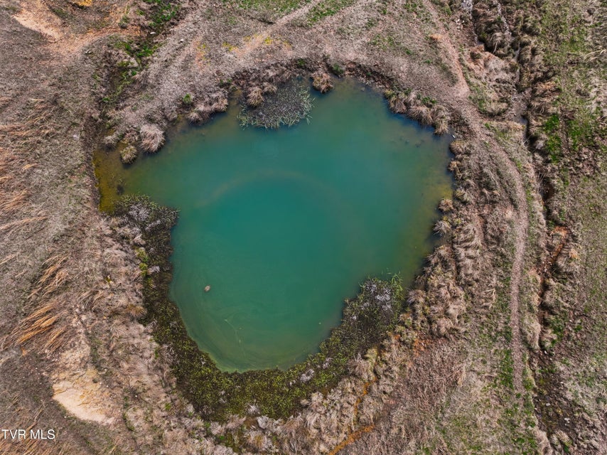 Photo #65: 2218 Rebel Hollow Road