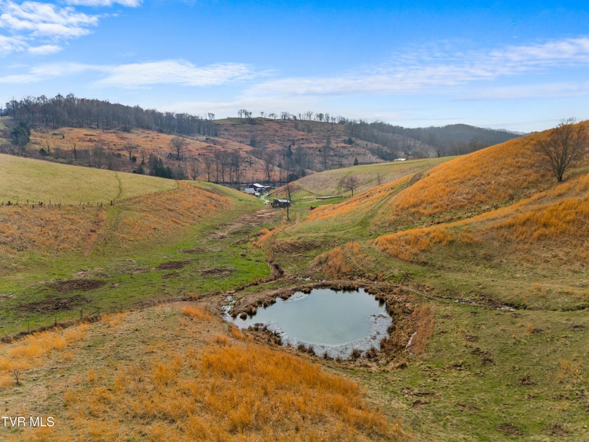 Photo #68: 2218 Rebel Hollow Road