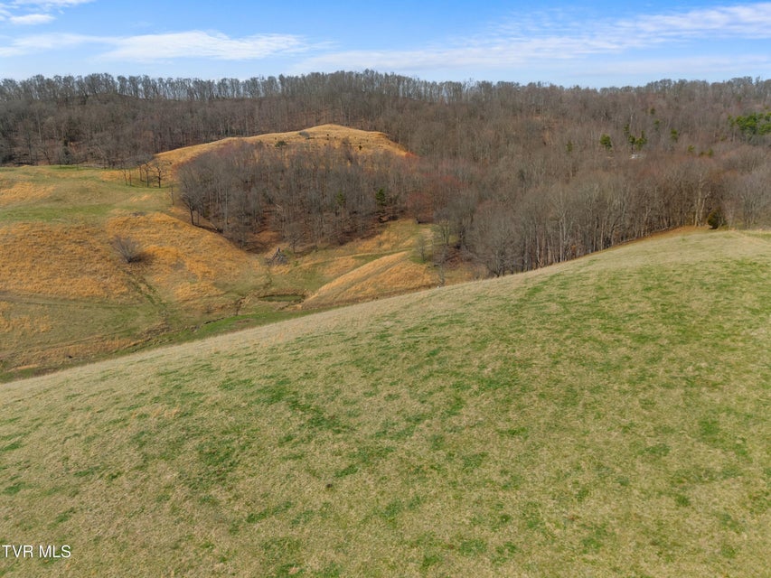 Photo #74: 2218 Rebel Hollow Road